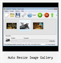 Auto Resize Image Gallery Flash Gallery With Text Demo Script