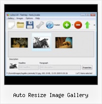 Auto Resize Image Gallery Flash Horizontal Scrolling