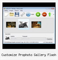Customize Prophoto Gallery Flash Flash Header Image