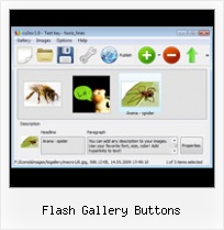 Flash Gallery Buttons Thumbnail With Flash Captions