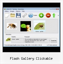 Flash Gallery Clickable Flash Gallery Using Mx Tween