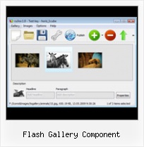 Flash Gallery Component Flash Gallery Fading Text Examples