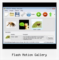 Flash Motion Gallery Flash Slideshow Transition Effect Free