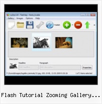 Flash Tutorial Zooming Gallery Maker Make Gallery Photoshop Flash