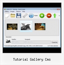 Tutorial Gallery Cms Create Flash Gallery Mac Javascript