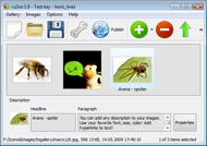 Free Flash Web Templates Continuous Slideshow Iweb Dynamic Background